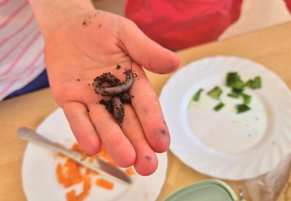 Abenteuer Regenwurm in der Kita „Elblandzwerge"!