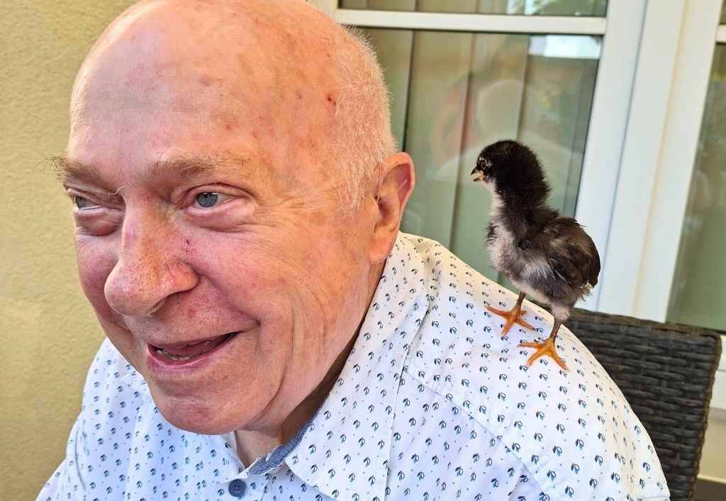 Ein bisschen Flausch, ein bisschen Piep – und schon wird der Tag unvergesslich!