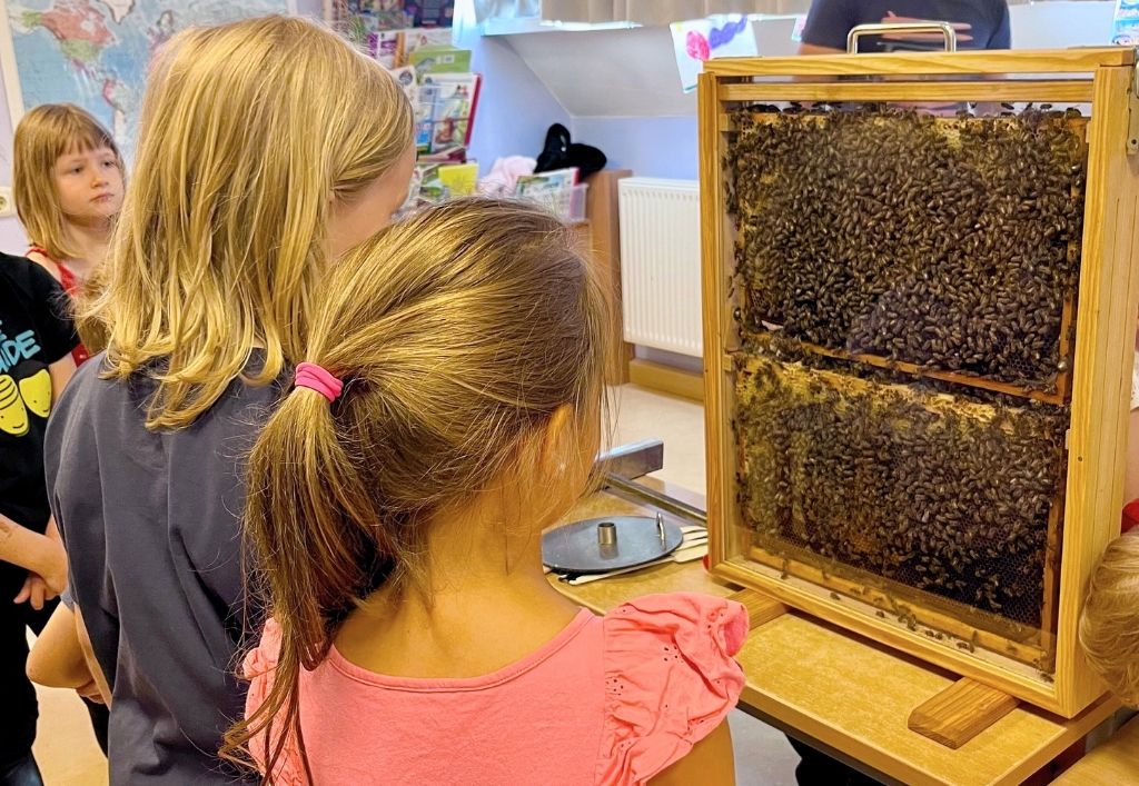 ASB Kita „Elblandzwerge“ – Süßes aus der Natur: Wir machen Honig!