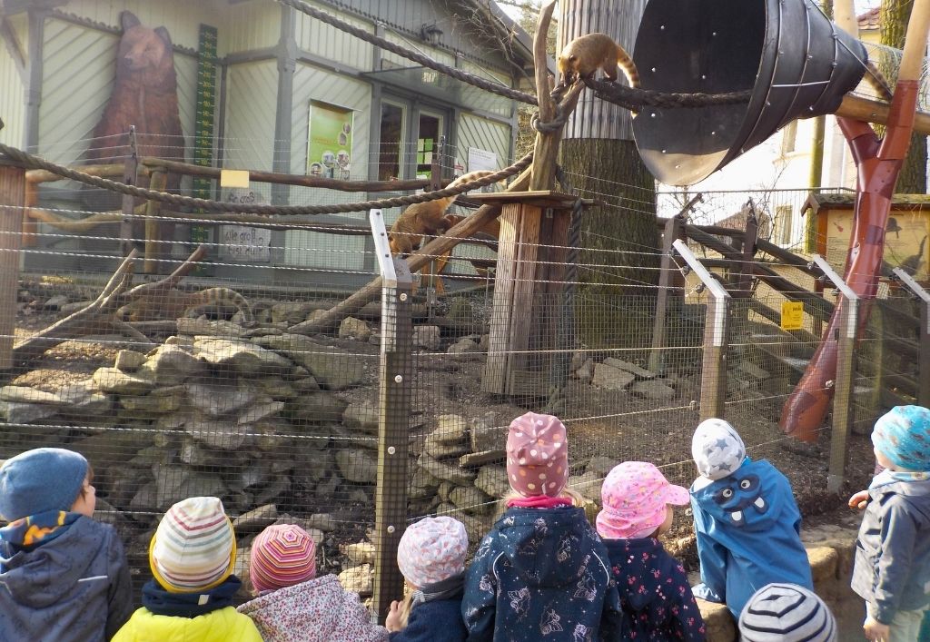 Tierischer Frühling: Ausflug und Kükenprojekt begeistern Kita-Kinder